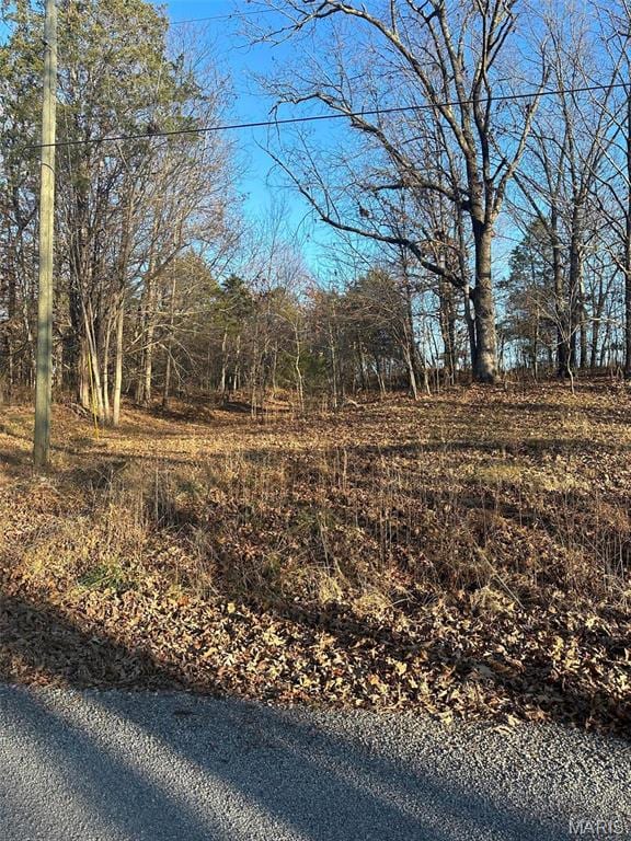 24 Wagon Creek Loop, Creal Springs, IL 62922