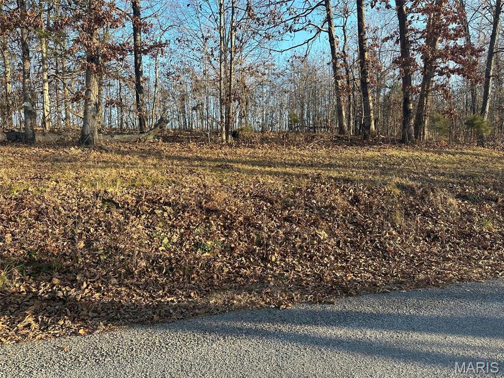 25 Wagon Creek Loop, Creal Springs, IL 62922