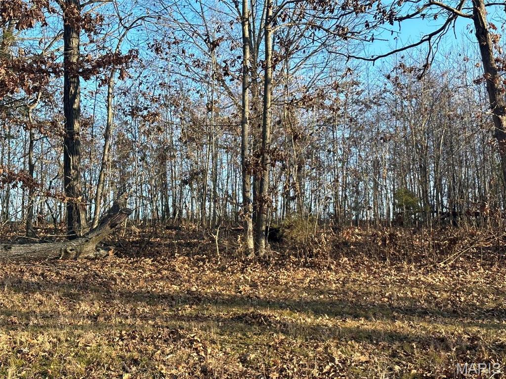 25 Wagon Creek Loop, Creal Springs, IL 62922