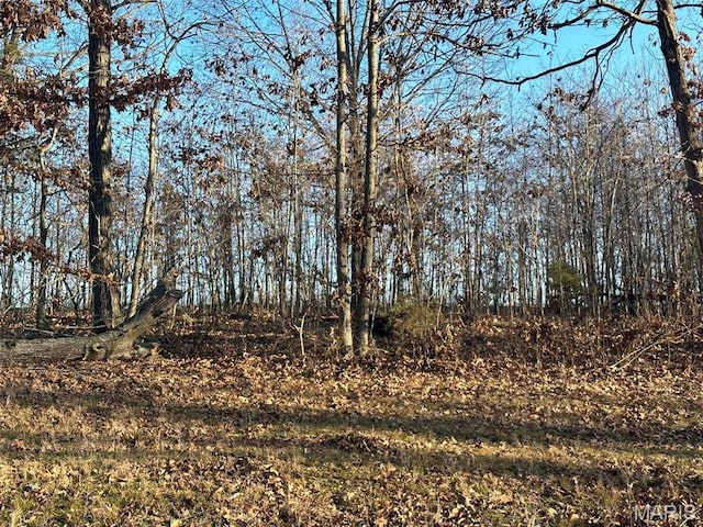 25 Wagon Creek Loop, Creal Springs, IL 62922