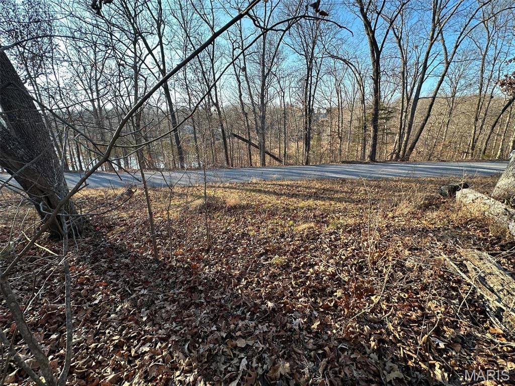 23 Wagon Creek Loop, Creal Springs, IL 62922
