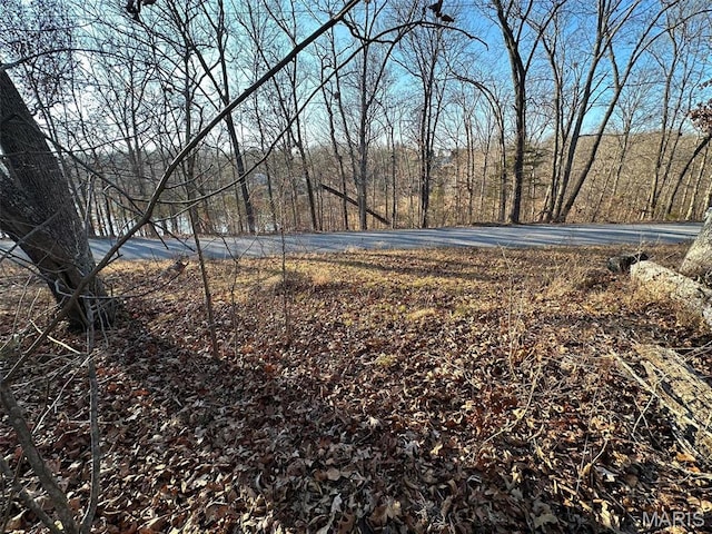 23 Wagon Creek Loop, Creal Springs, IL 62922