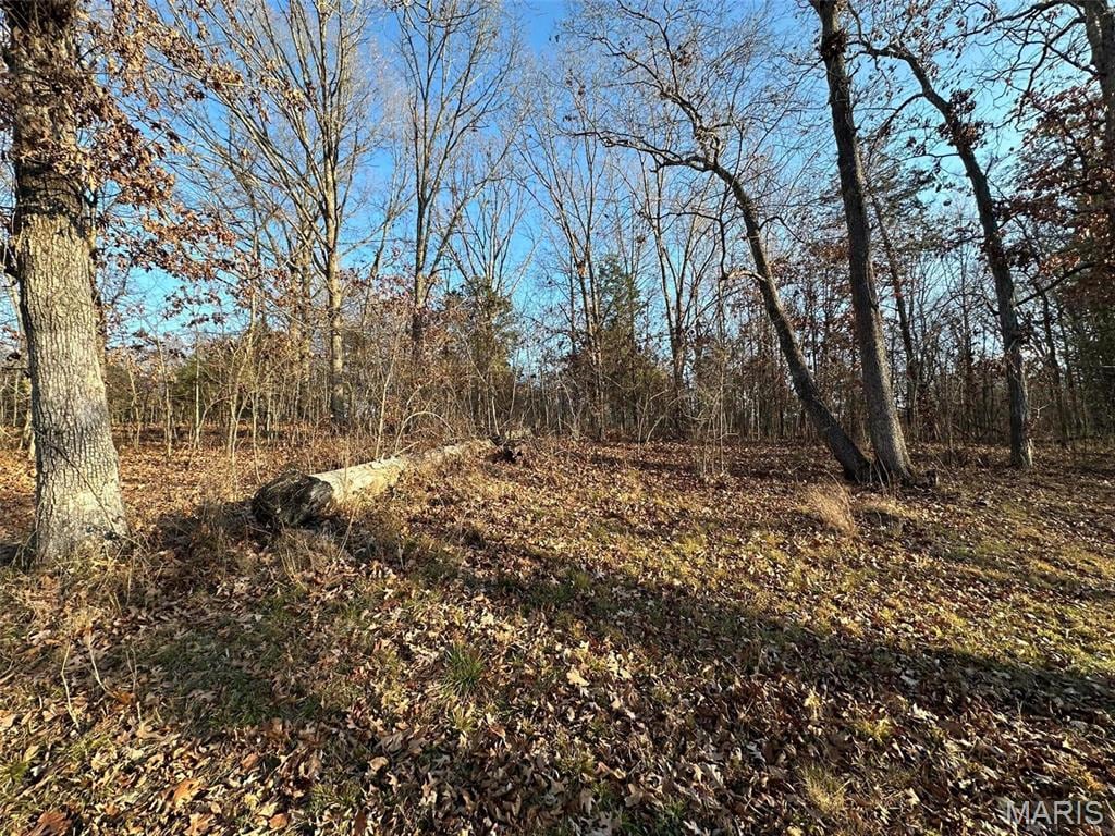23 Wagon Creek Loop, Creal Springs, IL 62922