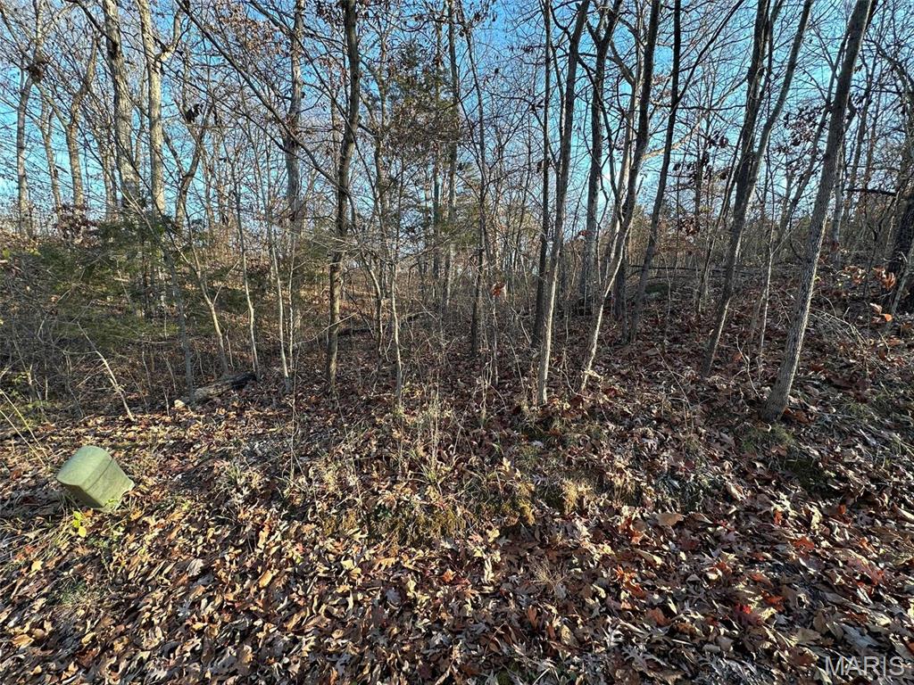 20 Wagon Creek Loop, Creal Springs, IL 62922