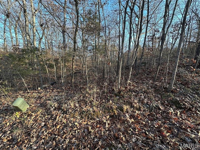 20 Wagon Creek Loop, Creal Springs, IL 62922
