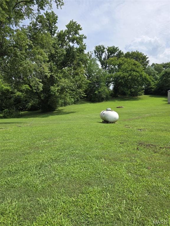 3061 State Route 150, Chester, IL 62233 - photo 40