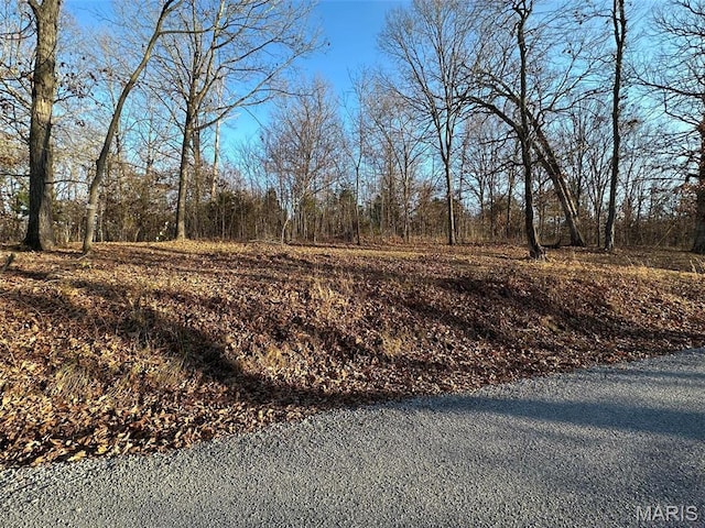 22 Wagon Creek Loop, Creal Springs, IL 62922