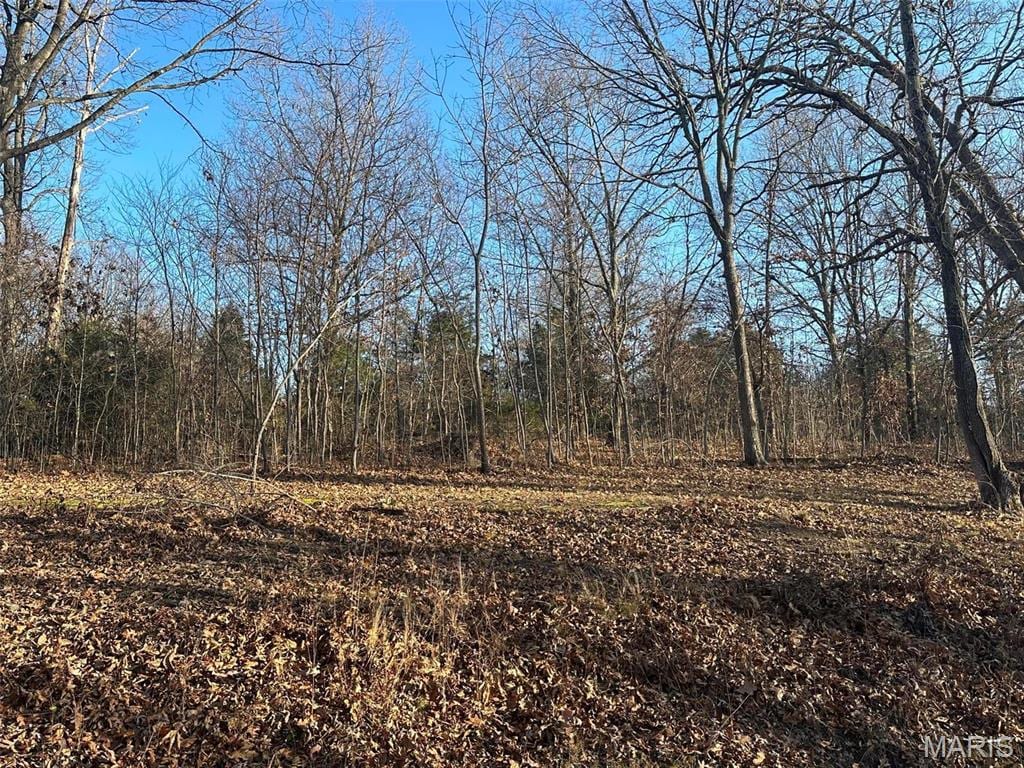 22 Wagon Creek Loop, Creal Springs, IL 62922