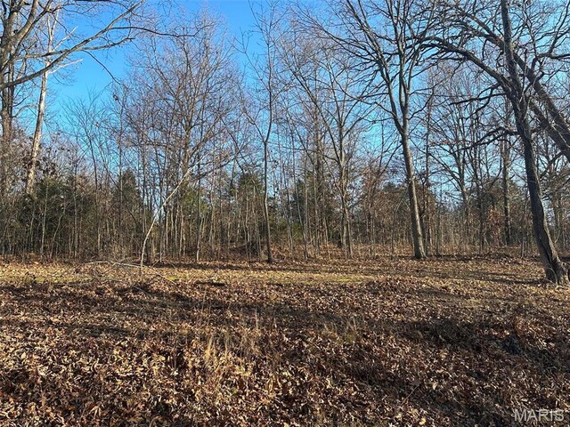 22 Wagon Creek Loop, Creal Springs, IL 62922