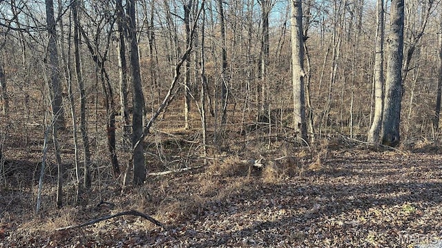 16 Wagon Creek Loop, Creal Springs, IL 62922