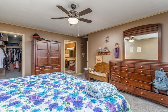 carpeted bedroom with a walk in closet, a ceiling fan, a closet, ensuite bath, and crown molding