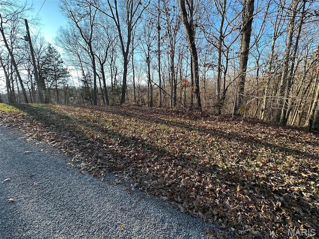 15 Wagon Creek Loop, Creal Springs, IL 62922