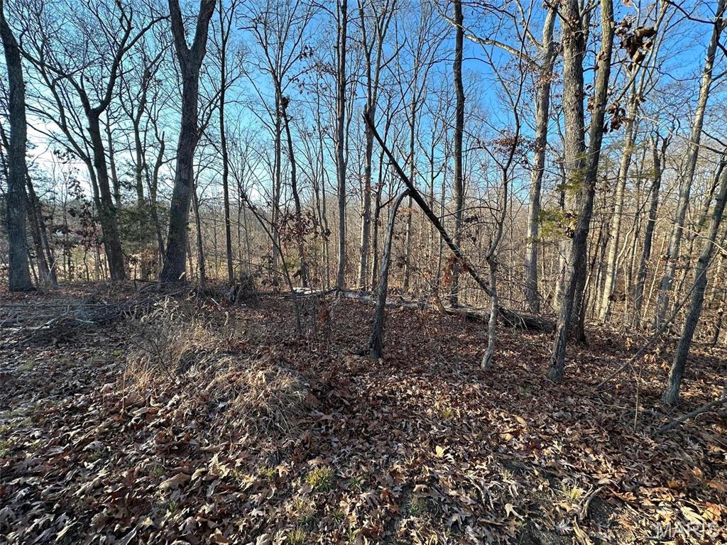 15 Wagon Creek Loop, Creal Springs, IL 62922