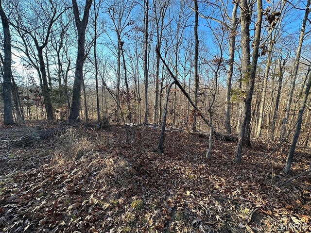 15 Wagon Creek Loop, Creal Springs, IL 62922