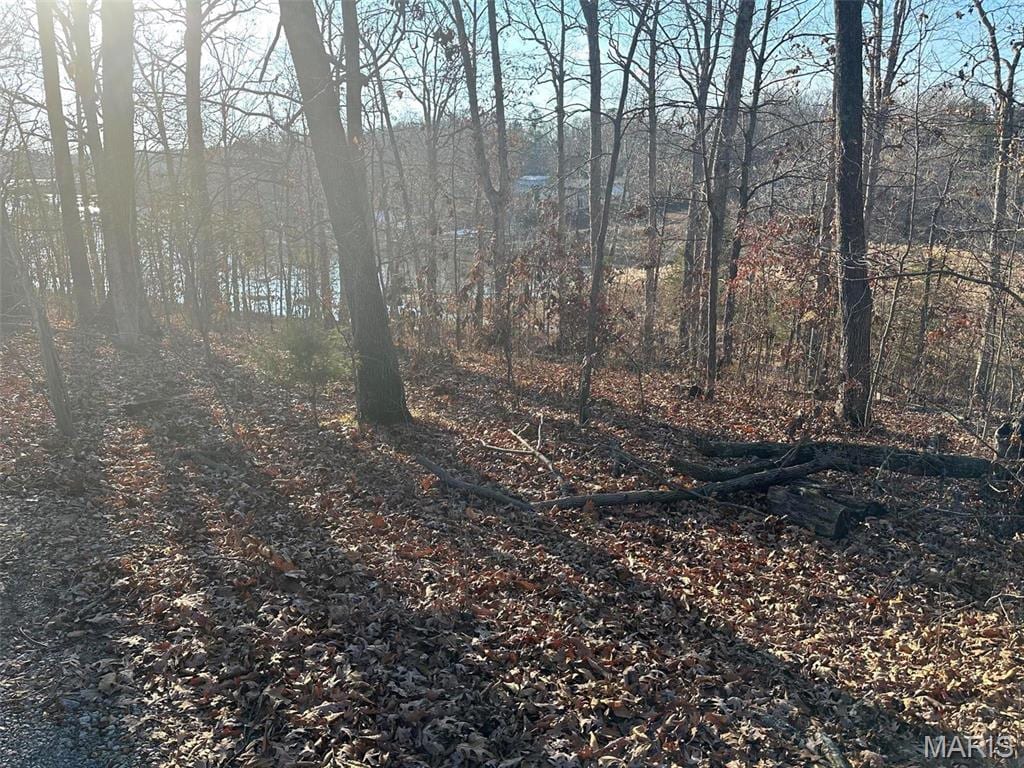 12 Wagon Creek Loop, Creal Springs, IL 62922