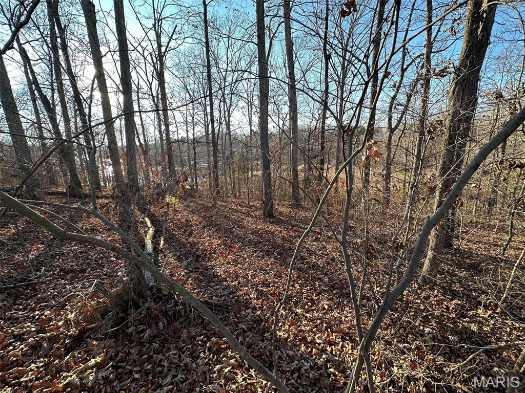 13 Wagon Creek Loop, Creal Springs, IL 62922