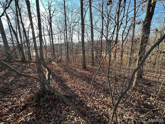 13 Wagon Creek Loop, Creal Springs, IL 62922
