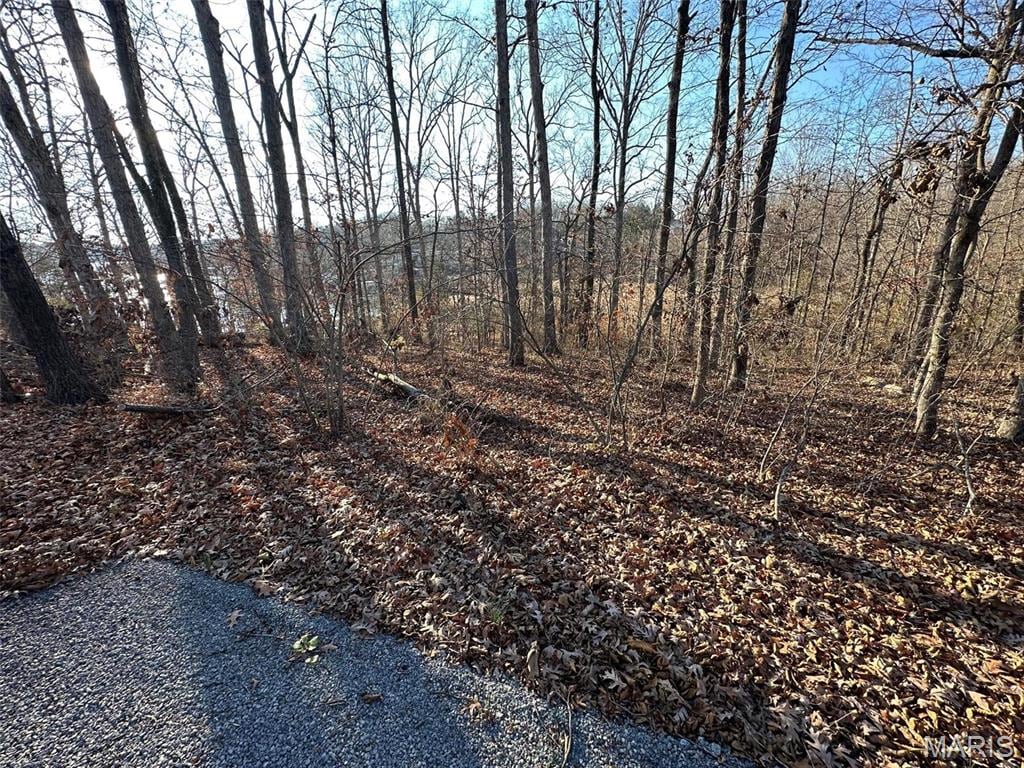 13 Wagon Creek Loop, Creal Springs, IL 62922
