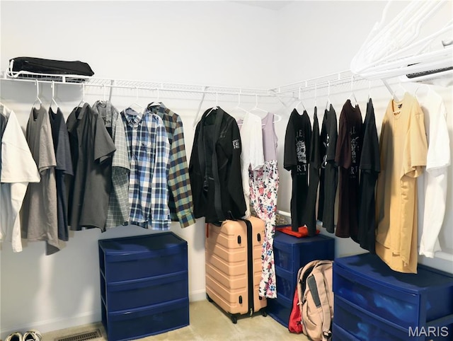 6804 Laurel Springs Ct, Fairview Heights, IL 62208 - view of walk in closet
