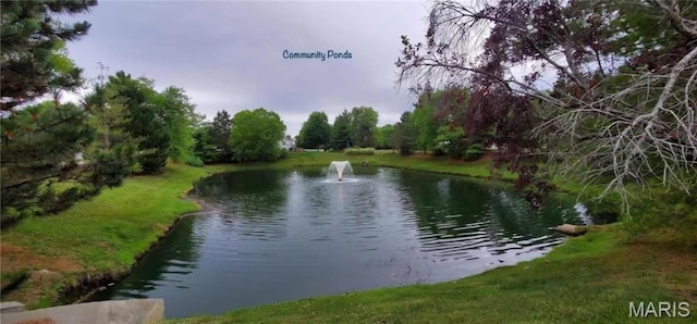 6804 Laurel Springs Ct, Fairview Heights, IL 62208 - water view