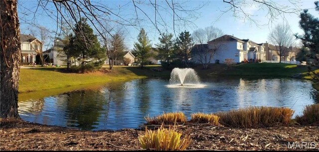 6804 Laurel Springs Ct, Fairview Heights, IL 62208 - water view