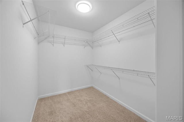 1542 Hickory Lndg, De Soto, MO 63020 - walk in closet featuring carpet