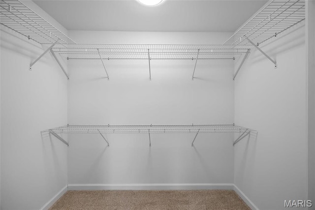 1542 Hickory Lndg, De Soto, MO 63020 - walk in closet with carpet floors