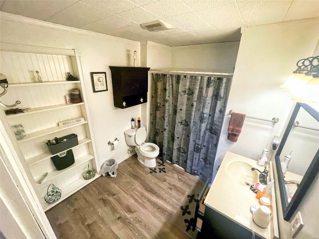 106 S 3rd, Novelty, MO 63460 - bathroom with wood finished floors, toilet, vanity, and a shower with shower curtain