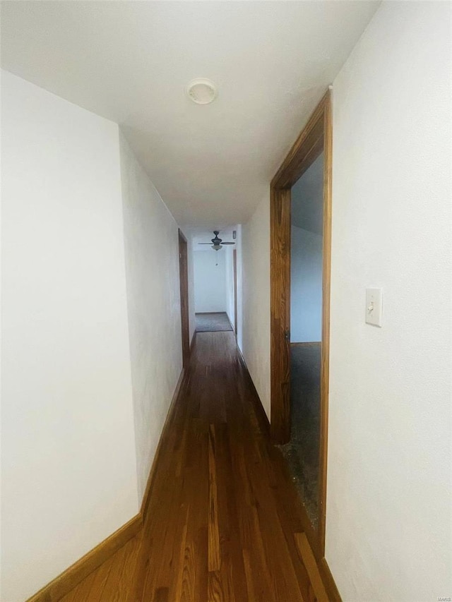corridor featuring dark wood finished floors