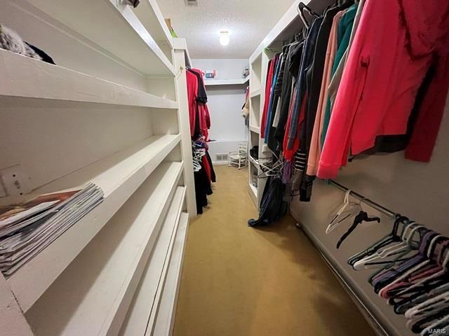 walk in closet featuring light colored carpet