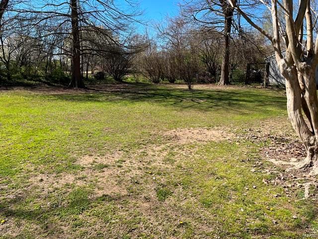 view of grassy yard