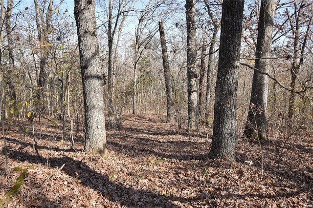 646 Deer Run Dr, Leasburg, MO 65535 - photo 33