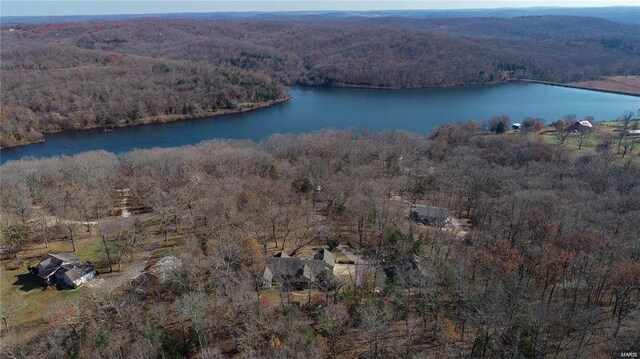 646 Deer Run Dr, Leasburg, MO 65535 - photo 40