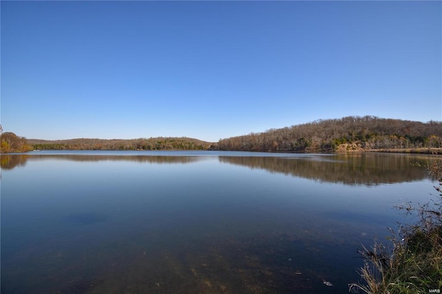 646 Deer Run Dr, Leasburg, MO 65535 - photo 43