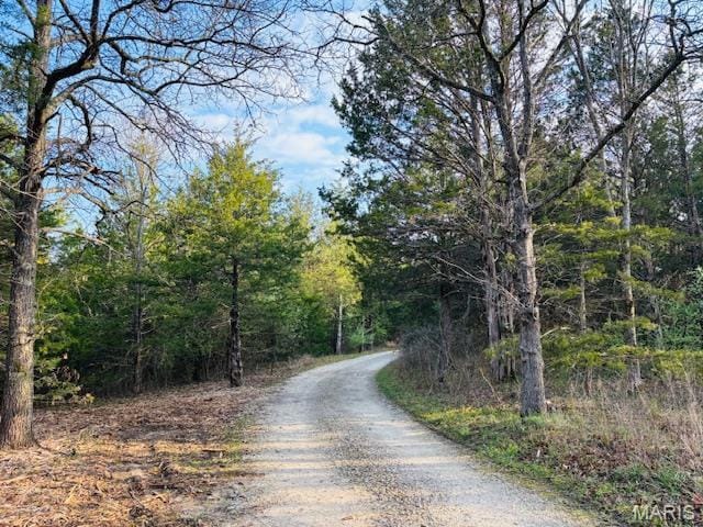 19125 County Road 1220, St James, MO 65559 - view of dirt / gravel road with a view of trees