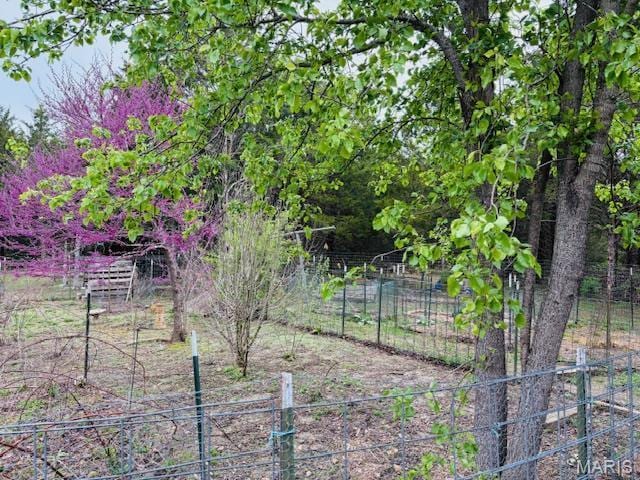 19125 County Road 1220, St James, MO 65559 - view of yard with fence