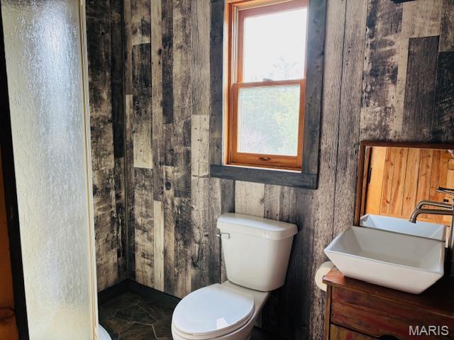 19125 County Road 1220, St James, MO 65559 - bathroom featuring toilet and vanity