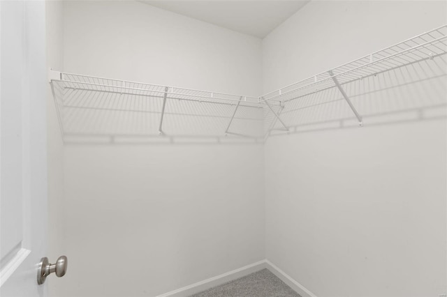 342 Cumberland Ct, Truesdale, MO 63380 - walk in closet featuring carpet floors