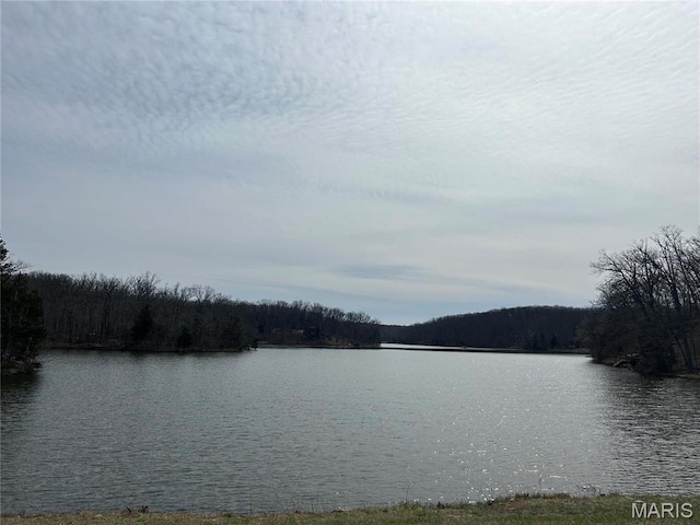 628 W St Gallen Dr, Innsbrook, MO 63390 - water view featuring a heavily wooded area