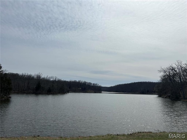 628 W St Gallen Dr, Innsbrook, MO 63390 - water view featuring a heavily wooded area