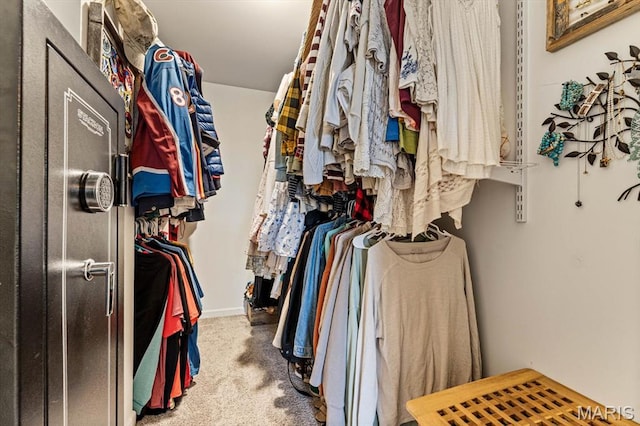 6833 Brandywine Ct, Fairview Heights, IL 62208 - spacious closet featuring carpet floors