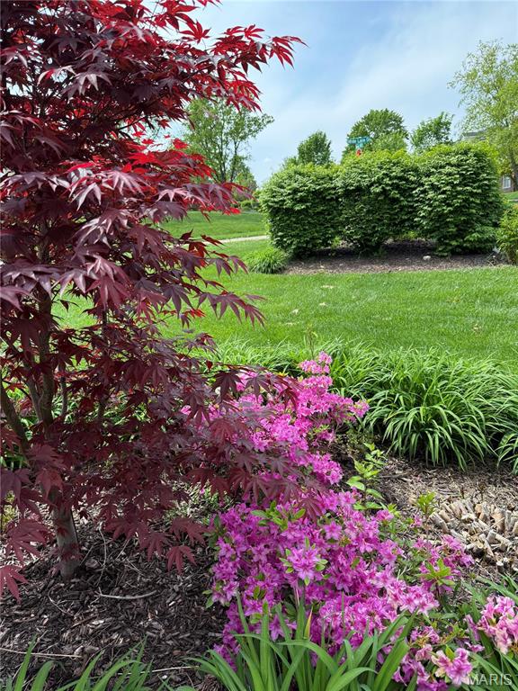 14760 Brook Hill Dr, Chesterfield, MO 63017 - view of yard