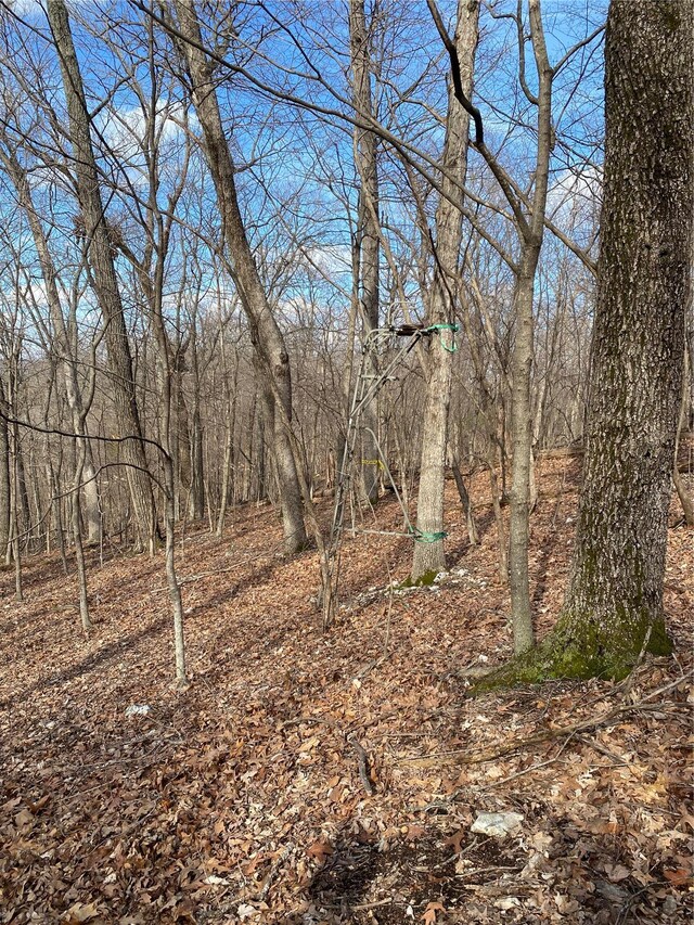 0 Yates, House Springs, MO 63051