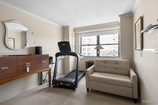 4466 W Pine Blvd Unit 15C, Saint Louis, MO 63108 - exercise area featuring ornamental molding, carpet flooring, and baseboards