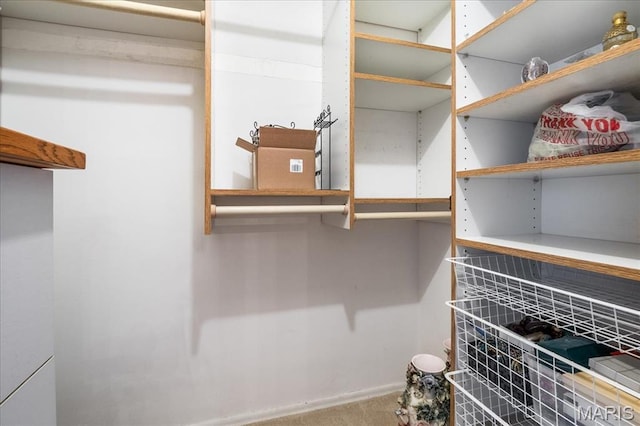 4466 W Pine Blvd Unit 15C, Saint Louis, MO 63108 - walk in closet with carpet flooring