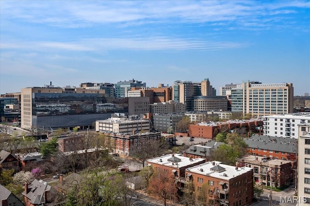 4466 W Pine Blvd Unit 15C, Saint Louis, MO 63108 - view of city