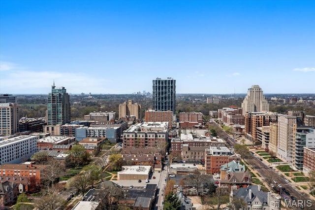 4466 W Pine Blvd Unit 15C, Saint Louis, MO 63108 - view of city