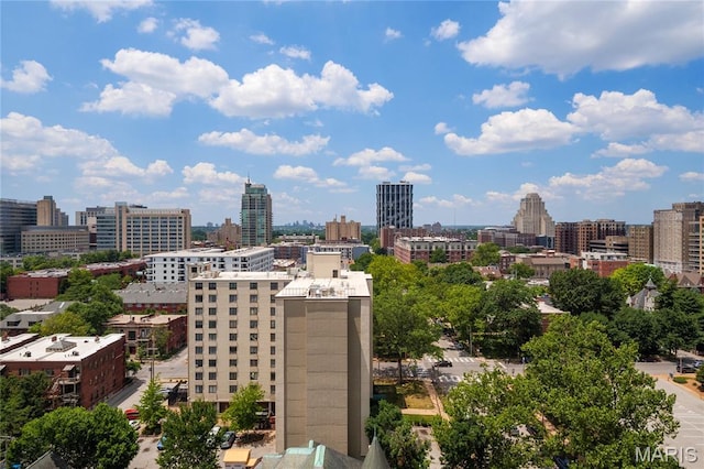 4466 W Pine Blvd Unit 15C, Saint Louis, MO 63108 - photo 47
