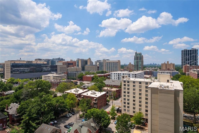 4466 W Pine Blvd Unit 15C, Saint Louis, MO 63108 - photo 48