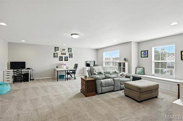 258 Stiles Dr, Wentzville, MO 63385 - photo 29